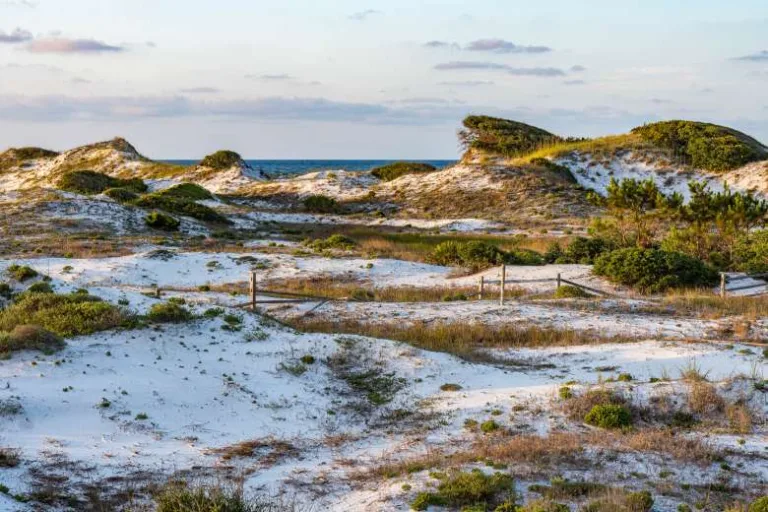 Special Rates & Offers From The Lodge 30A In Seagrove Beach