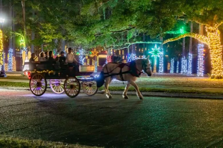 Christmas Reflections In DeFuniak Springs Nov 28 - Dec 31