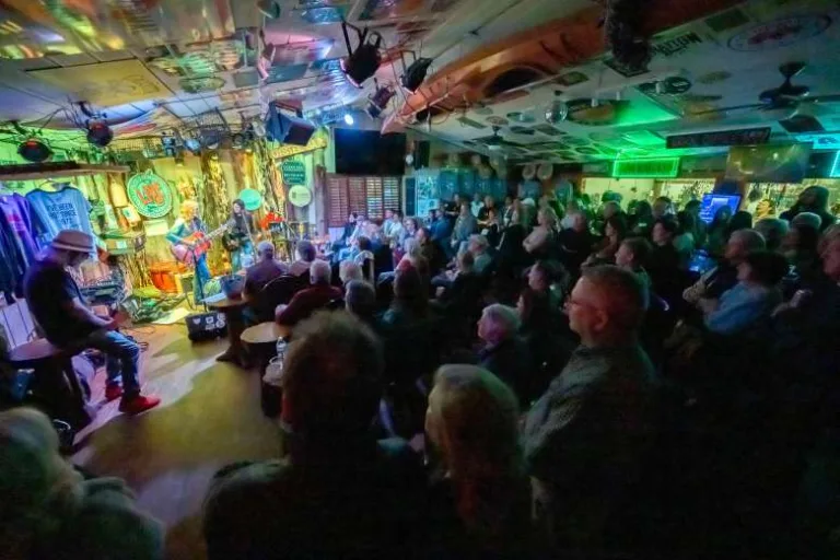 17th Annual Swamp Writer Music Festival Jan 16-18 At Stinky's