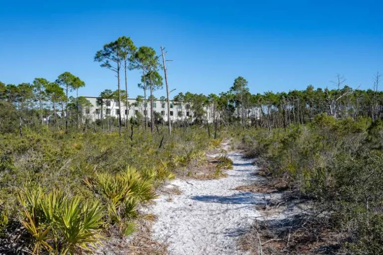 Special Rates & Offers From The Lodge 30A In Seagrove Beach