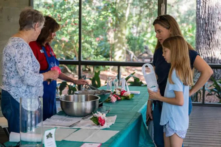 Camellia Festival at Eden Gardens State Park Feb 7