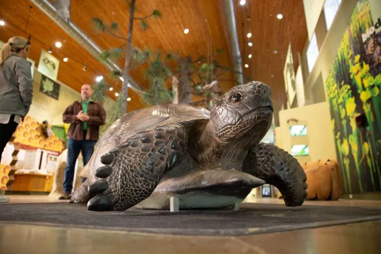 E.O. Wilson Biophilia Center Launches Year-Round "Public Fridays" Starting September 4