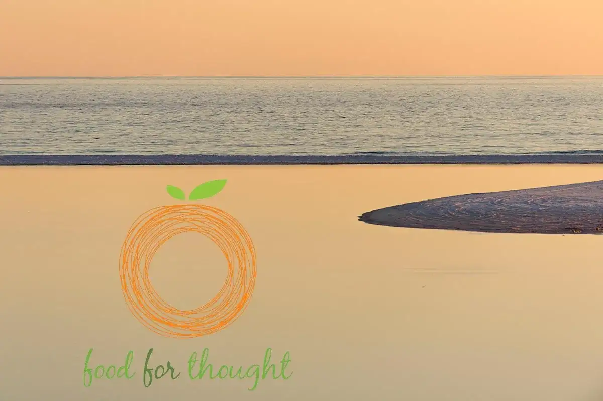 Food For Thought Outreach