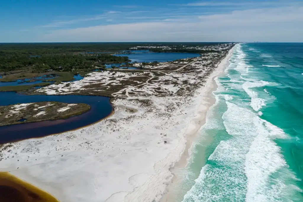 Friends Of Grayton Beach State Park
