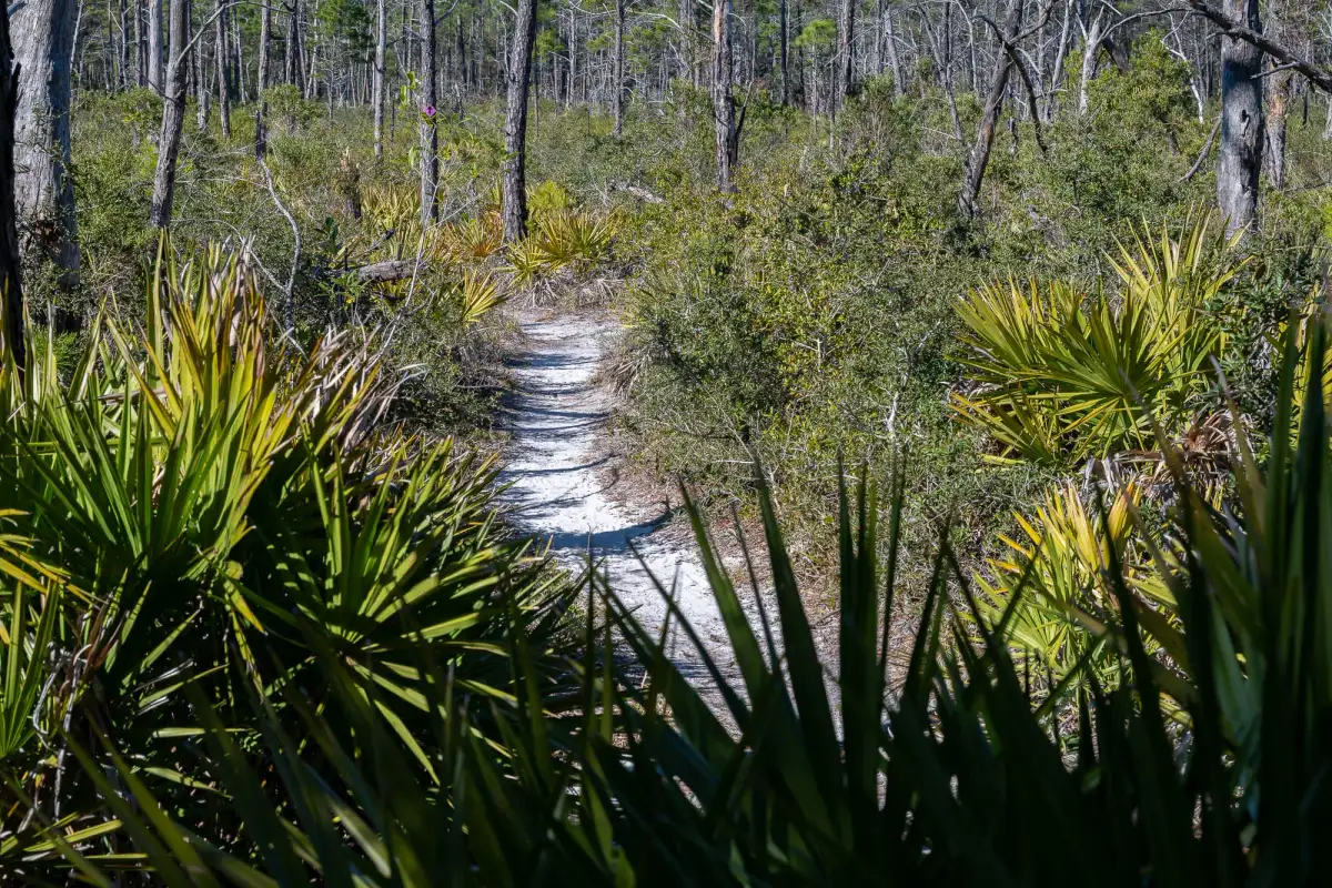 30A Trailhead