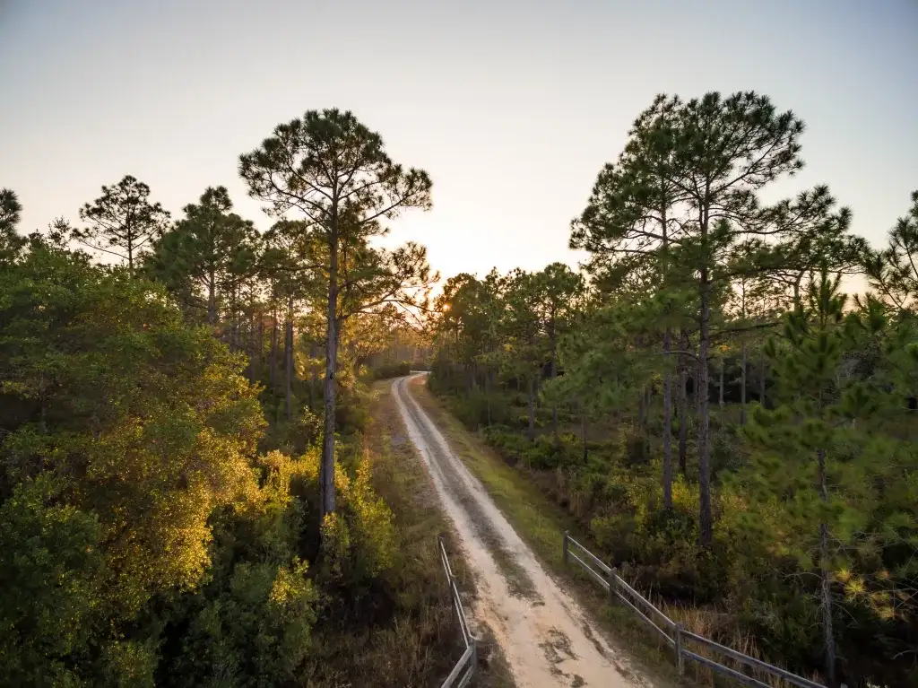 McQuage Bayou Trailhead