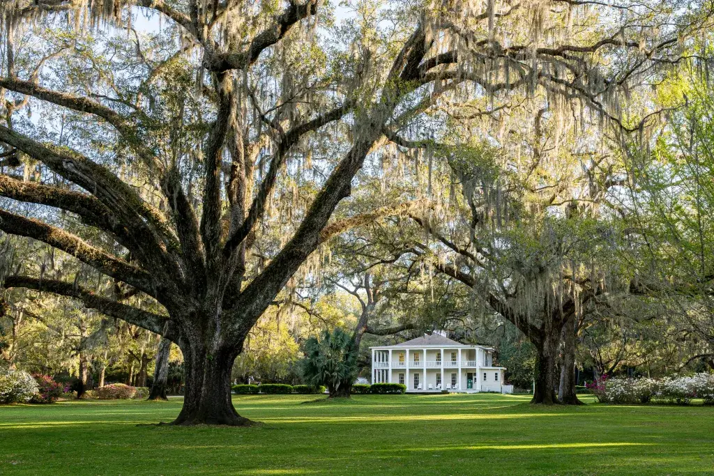 Eden Gardens State Park