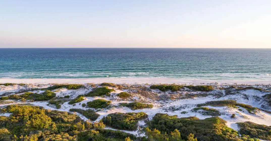 Saving Grayton Beach