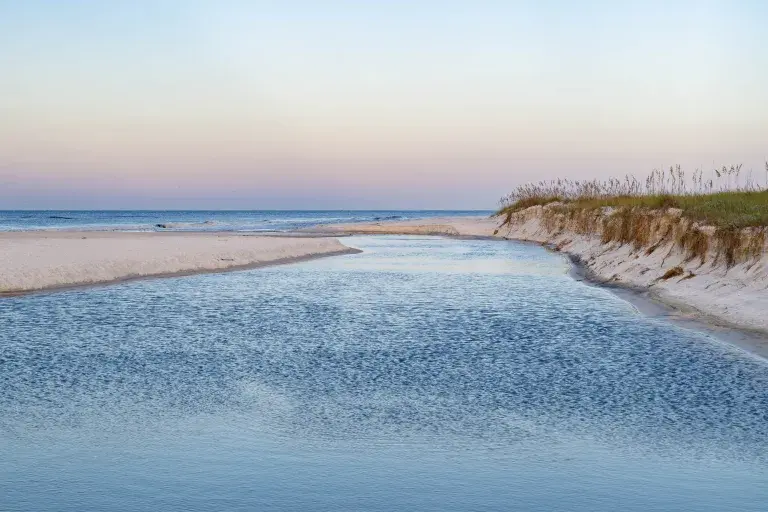 International Coastal Cleanup In South Walton On September 19, 2026
