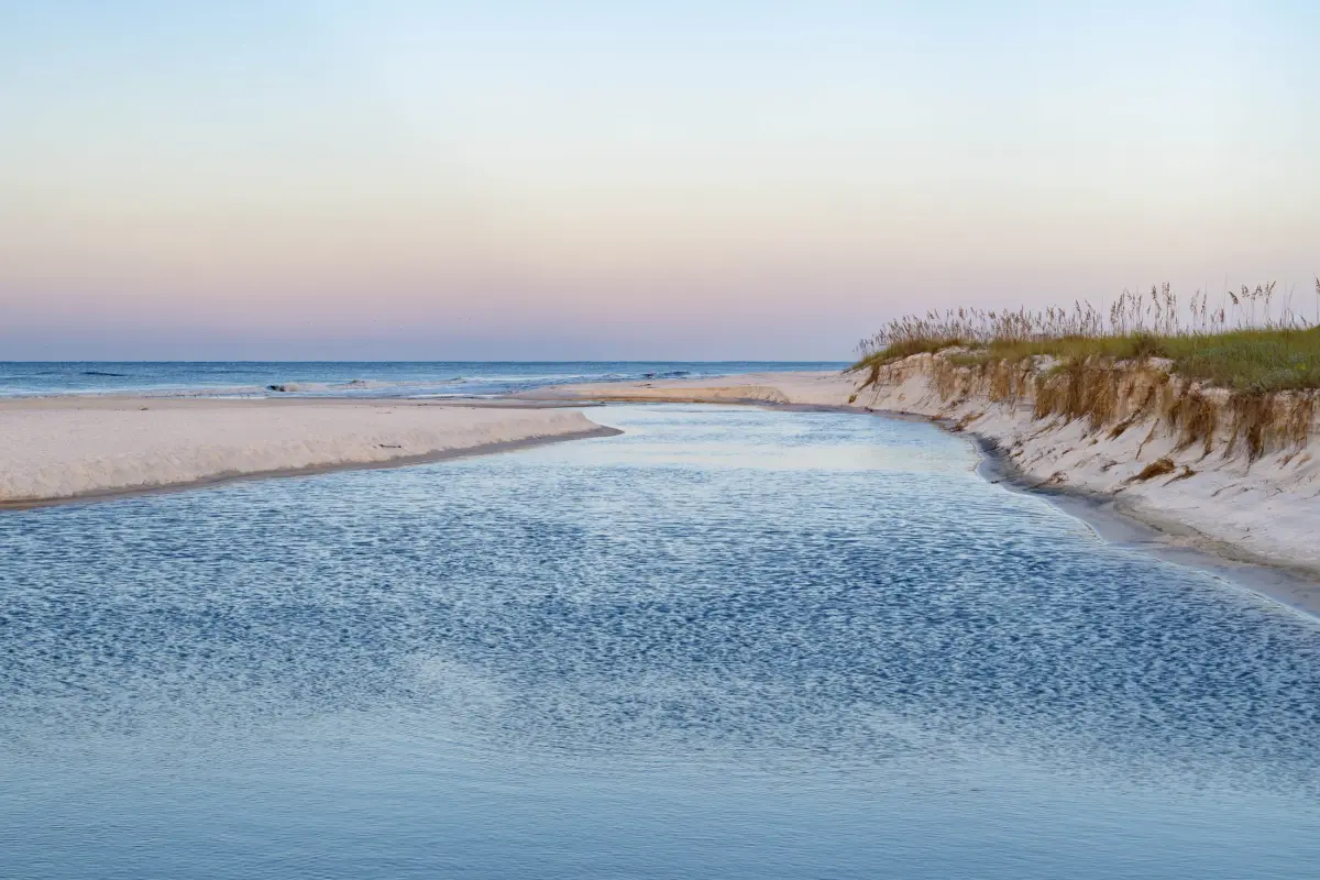International Coastal Cleanup In South Walton On September 19, 2026