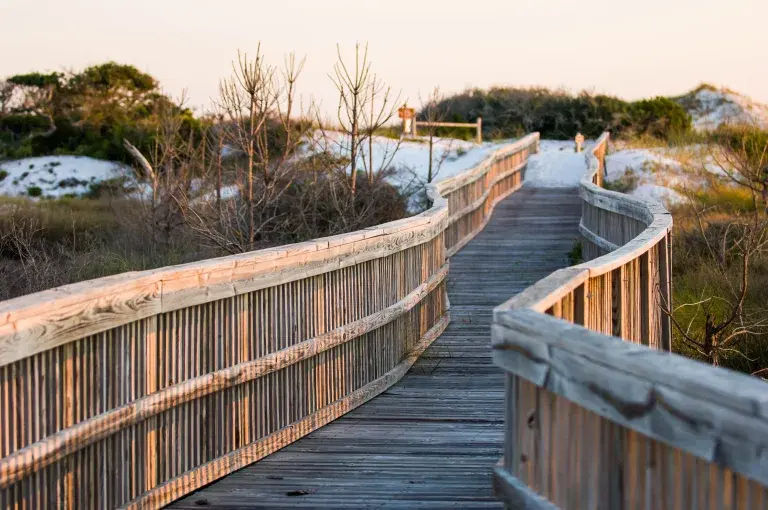 Friends of Topsail Hill Preserve State Park