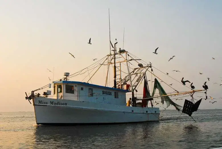 Apalachicola Is a Wonderful Day Trip from South Walton