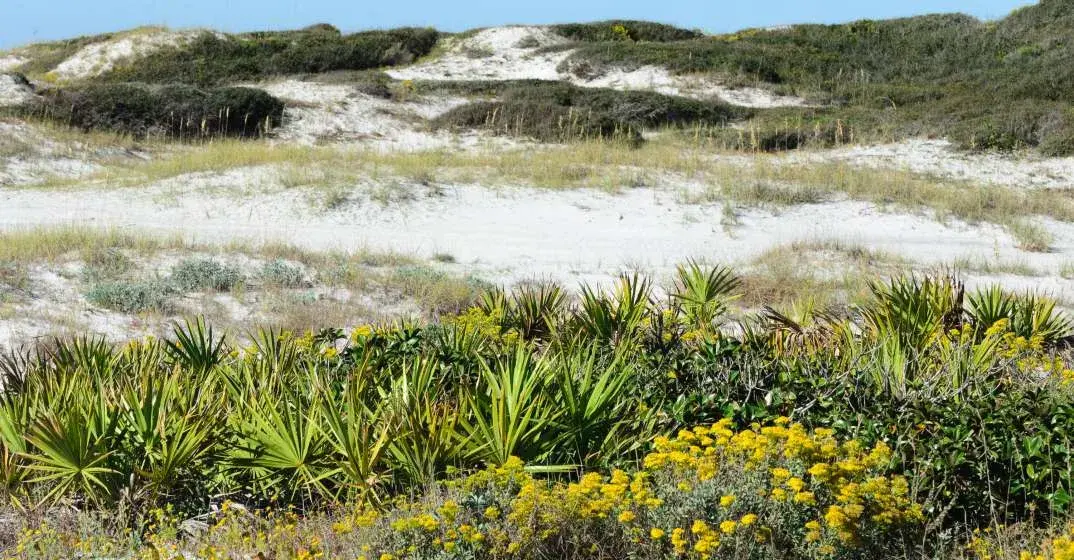 Topsail Hill Preserve State Park is a South Walton Wonder