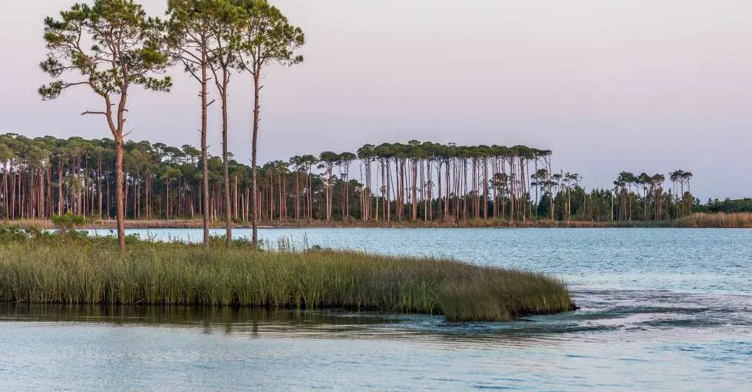 Grayton Beach State Park Named Top Ten Beach