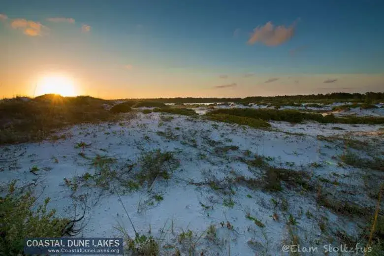 Coastal Dune Lakes Episode 5 - A Prayer for the Dune Lakes