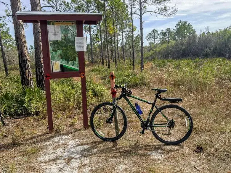 Biking Point Washington State Forest