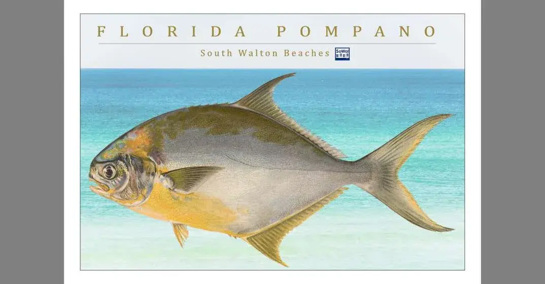 Pompano Fishing on the Beach 1945