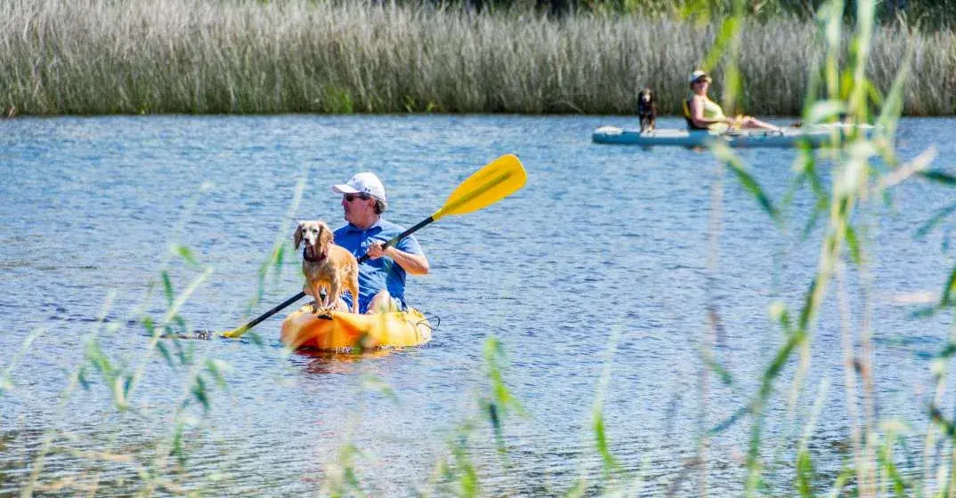 Grayton Beach State Park Showcases South Walton's Best