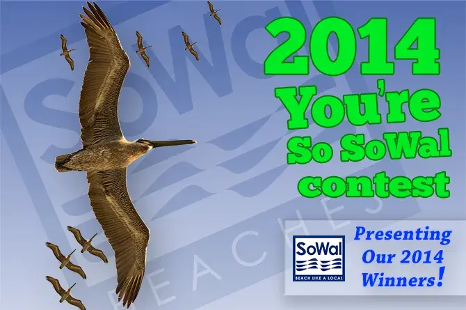 "You're So SoWal If..." Presenting Our 2014 Winners