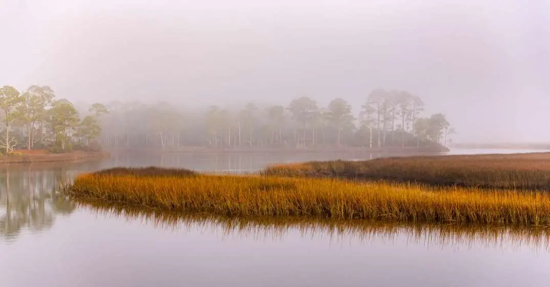 Celebrating The Donation Of 2,295 Acres For The Choctawhatchee River Delta Preserve In Walton County