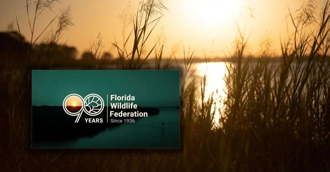 Florida Wildlife Federation 90th Birthday Celebration At Alaqua June 7th
