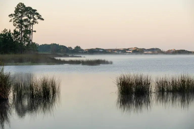 Deer Lake