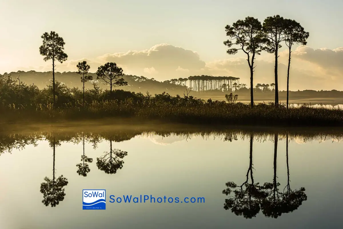 How To Buy SoWal Photos