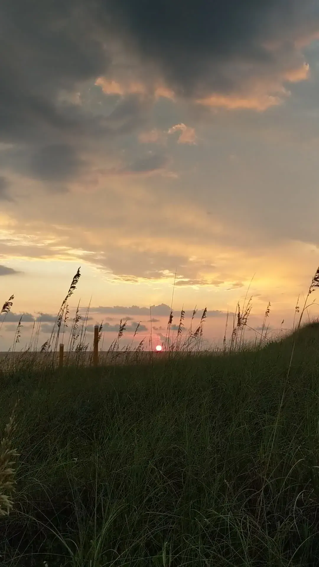 South Walton Sea Oat Sunset