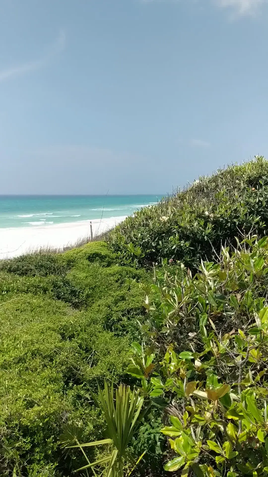 Magnolia Dune Beach View