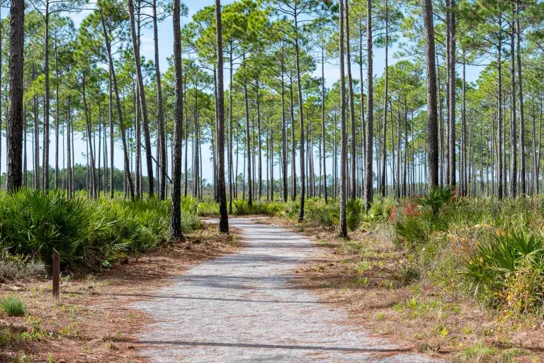 Panama City Beach Conservation Park