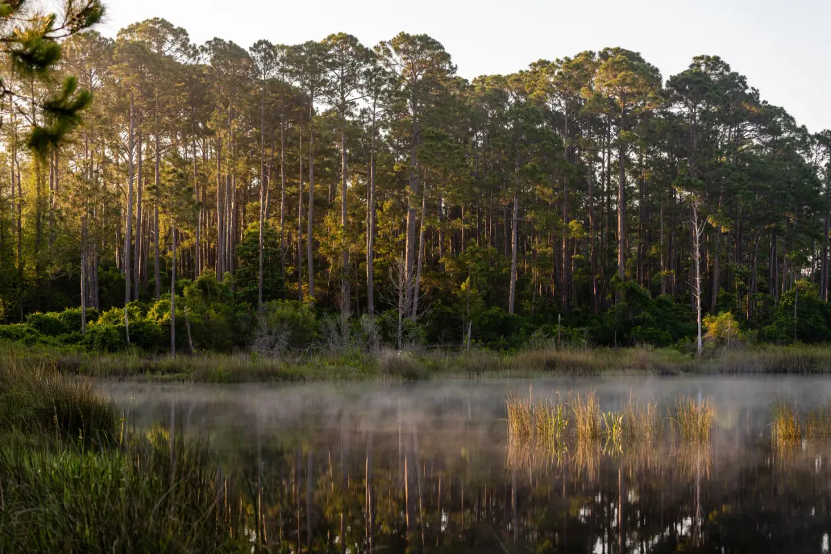Celebrating & Educating: South Walton Coastal Dune Lakes Week Is November 2-6