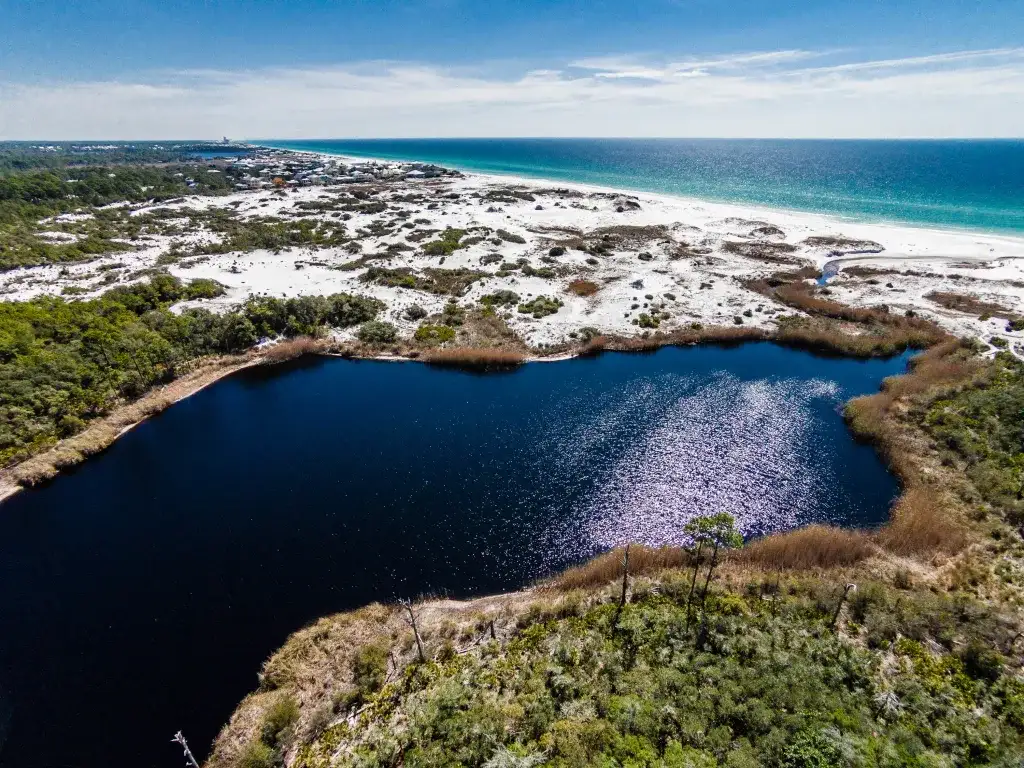 Alligator Lake