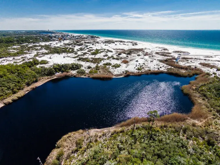 Alligator Lake