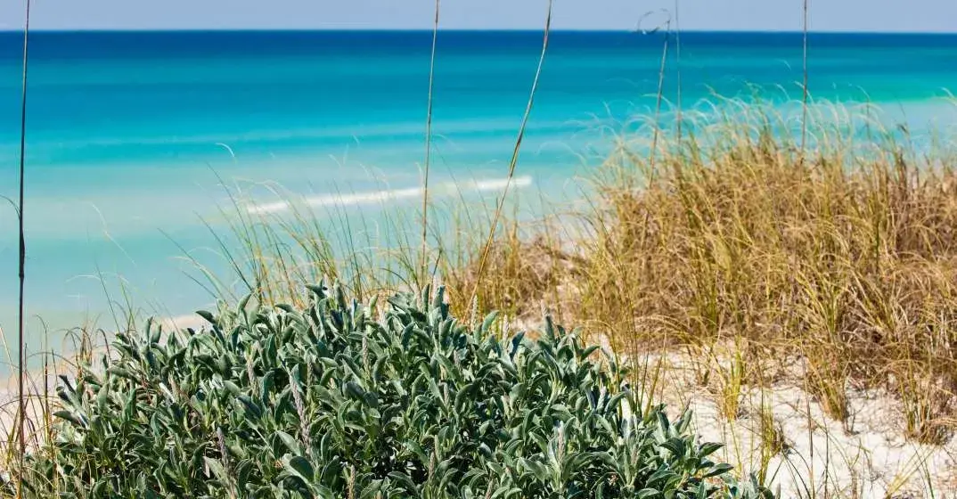 Keep Walton County Beautiful Encourages Action Every Day