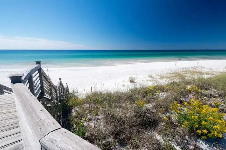 It's Time to Grab Some Food and Hit the Beach