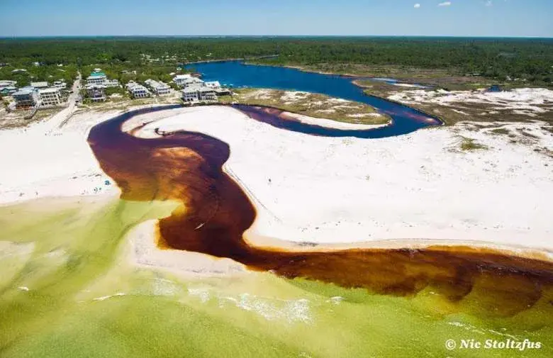 Coastal Dune Lakes Episode 2 - How Do Coastal Dune Lakes Work?