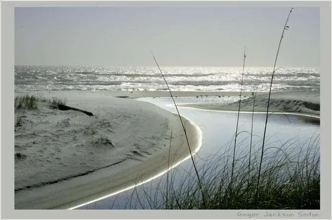 Reflecting on Our Rare Coastal Dune Lakes