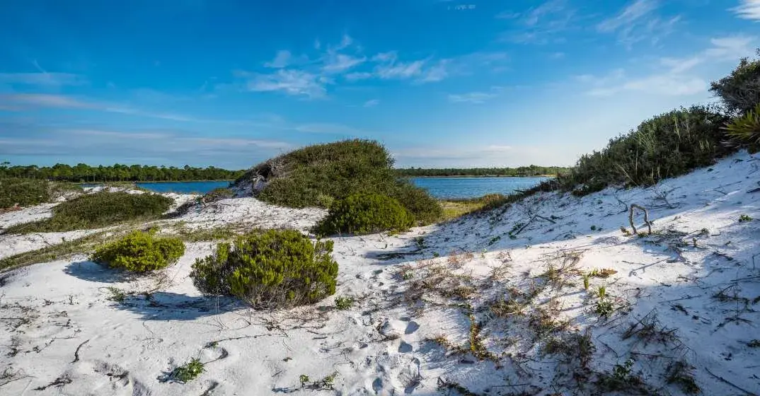 Walton County Provides Free Admission to SoWal State Parks Summer 2026