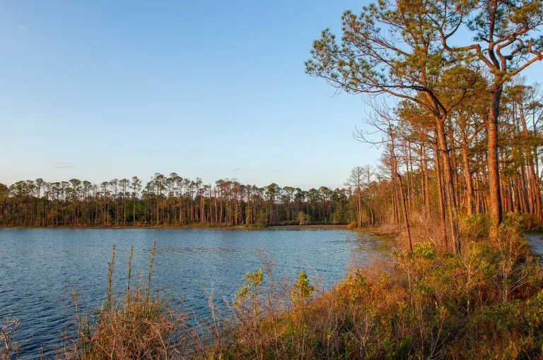Morris Lake