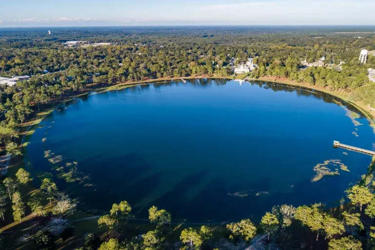 History of SoWal and Walton County, Florida