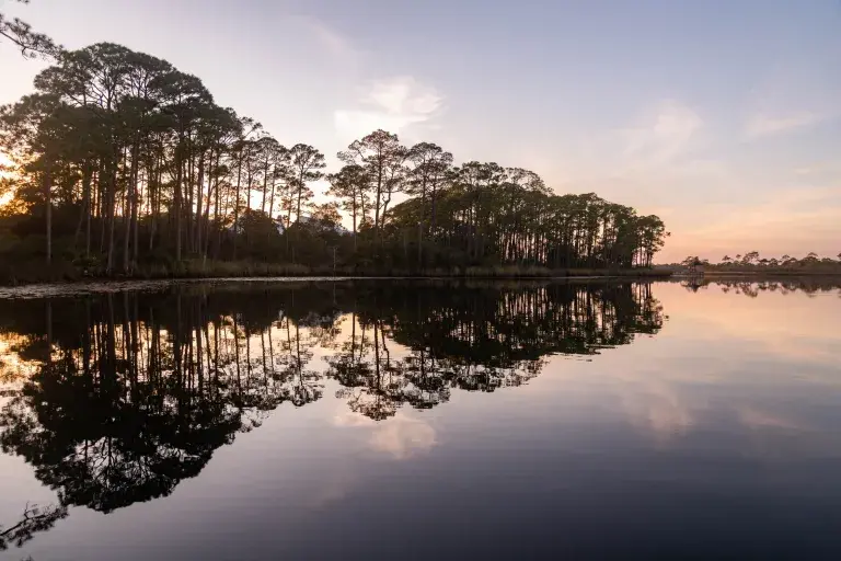 SoWal Tourist Info for 30A and South Walton Beaches