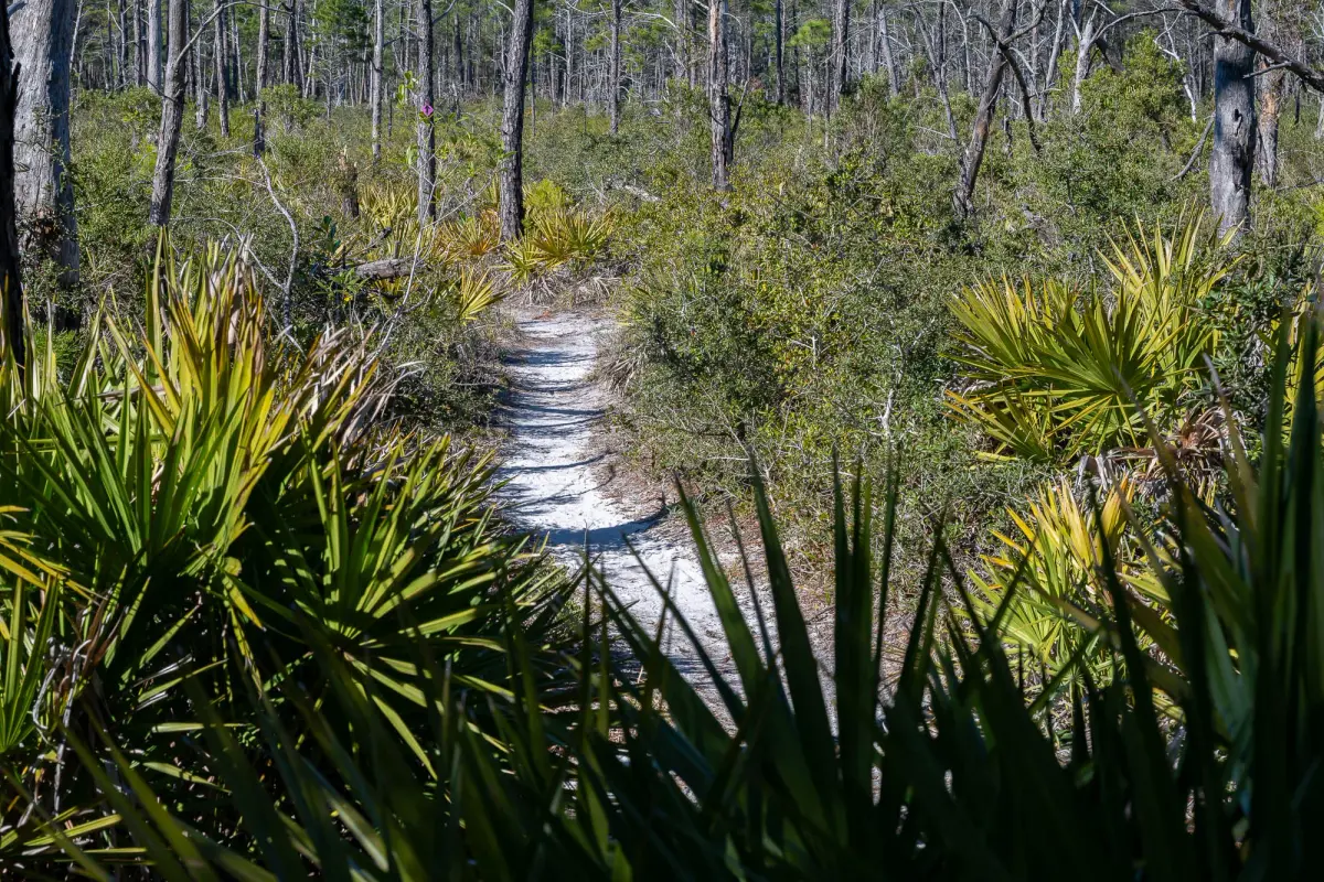 30A Trailhead